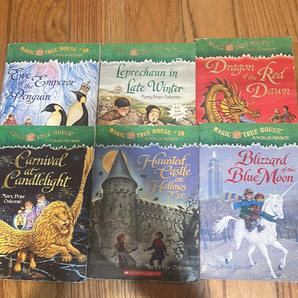 Magic Tree House Merlin Mission bundle of 6